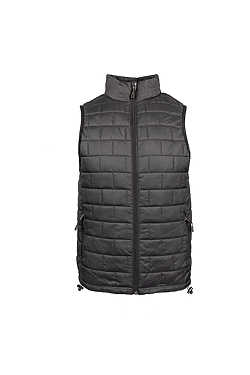 Element Puffer Vest