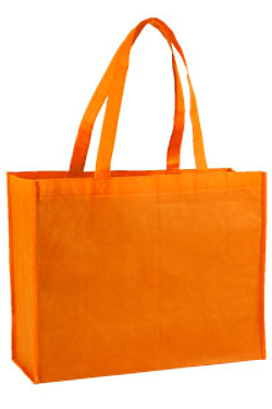 Non-Woven Shopping Bag